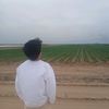 selim_7795