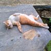 fandi.rasyad6