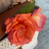 curcuum