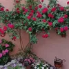 reyna.garcia576