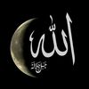 seyftaheri