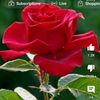 sapna.barguna
