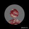 imdiana06