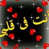 slmaa838