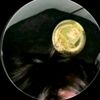 khaled.ali6193