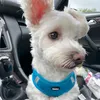 ruxandra_ruxy_1