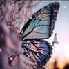 asmaa_yousef4