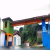 paloalzado