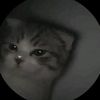 unakho_1470