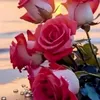 zxcvbnmasdfghjklwwertyu2