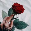 haydee.ssj