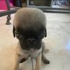 muggy_33174