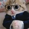 GatitoEdits