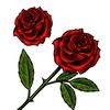 anusha.rajapaksha07