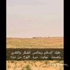 abooosaeeif