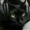 mr73_codmkyuzawa