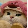 sey.love28