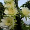 thanhdoan618