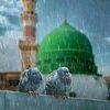 ashiqali78655