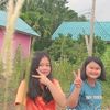 hkisrty44