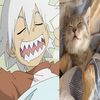 suguru.getos_wife