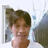 silvestrelajato