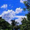 apri__apuca