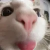 6clxyn__