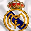 sidad737