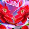user5862014599480