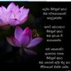 user112442034949