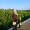 bqwidiaa