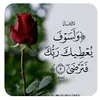 user955156025503