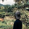 pingwinn60