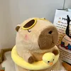 tran_khongbiet
