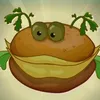 pupawwe