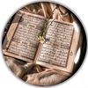 mahimislam772