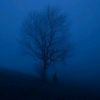 muno_x5974