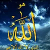 salm.abdulmajed.k