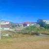 alberto_rufino_oliva