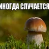 inogda_sluchaetsa