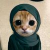aalia.e