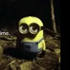 slushe69