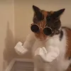 ninatnjmug0