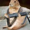 psygopher
