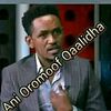abdifeyisa738