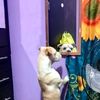 nacho_042024