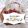 habibamohammed1827