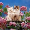 user1770570048435