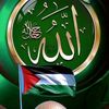 user26127830129520